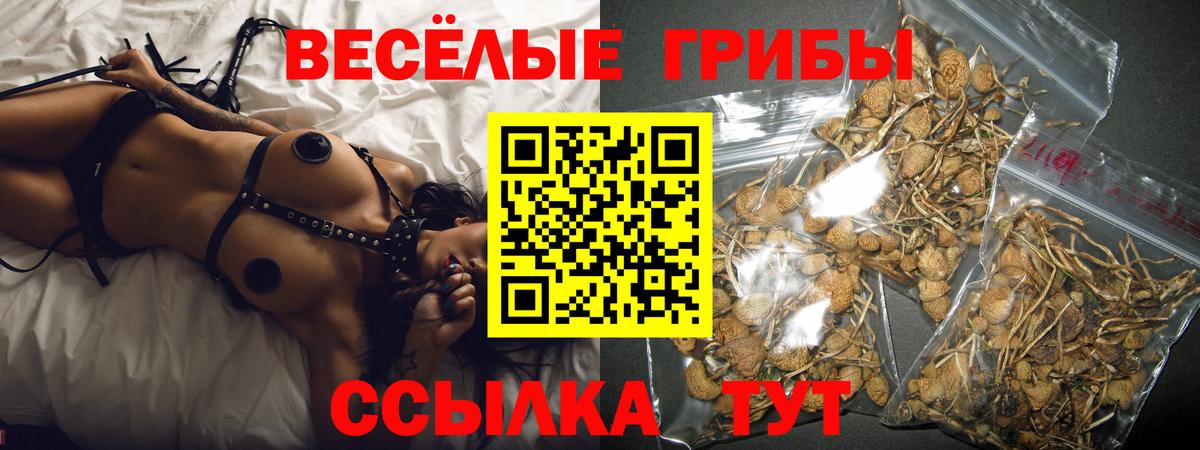 Кубинка  Псилоцибиновые грибы ЛСД  Вход с VPN 